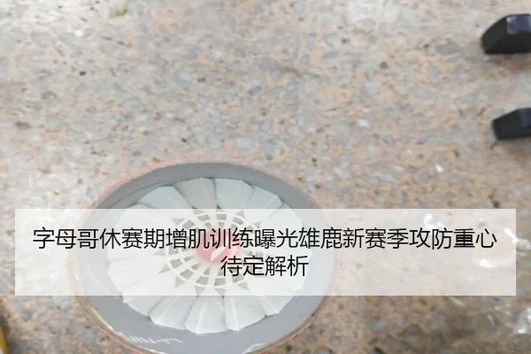 字母哥休赛期增肌训练曝光雄鹿新赛季攻防重心待定解析
